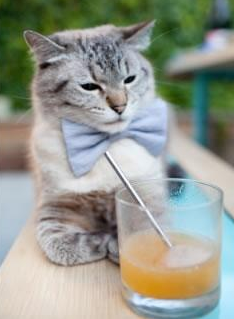 “传奇回忆:乔丹场场经典瞬间”,乔丹表演