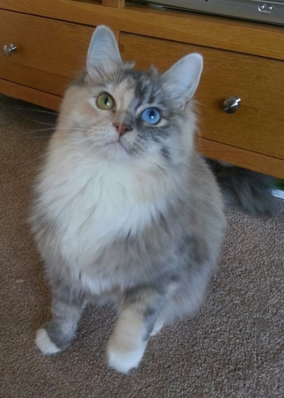 kaiyun体育app-“西甲联赛精彩不断，场面高潮迭起”，西甲联赛视频