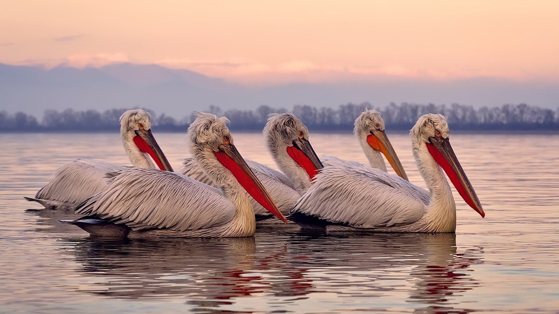 开云·体育官网-中国女篮教练团队不断壮大，战术革新备受期待，中国女蓝教练团队