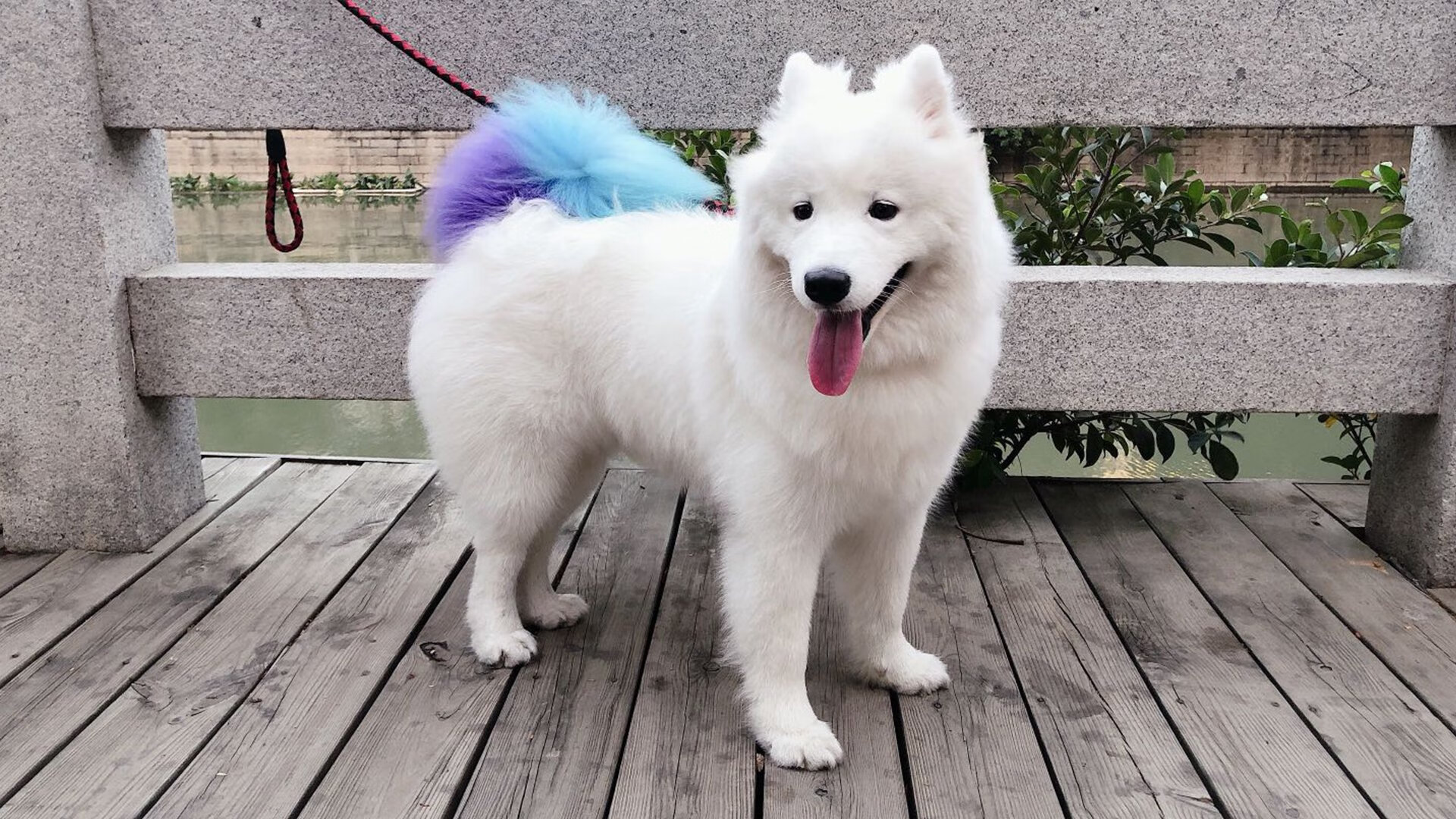 kaiyun中国官方网站-塞内加尔马术队在非洲马术锦标会三项赛中获得第五名，表现稳健。