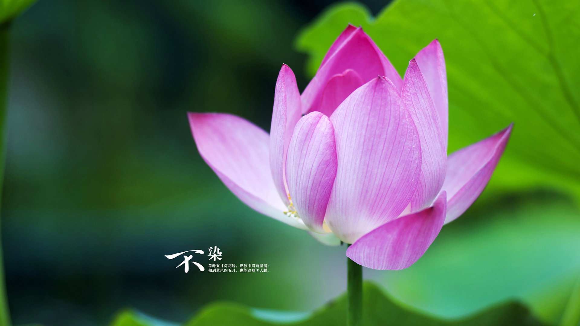 城市夜跑拍摄体验,留下运动与光影的结合之美,城市夜跑说说