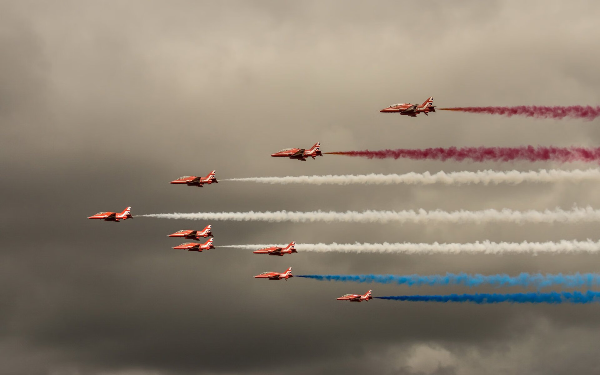 布莱顿在英超联赛中排名第五,获得欧联杯资格,英超布莱顿队徽