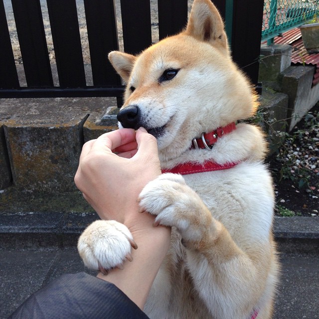 开云官网-意甲激烈转折，球员采访透露战术应变中的关键细节，意甲阵容