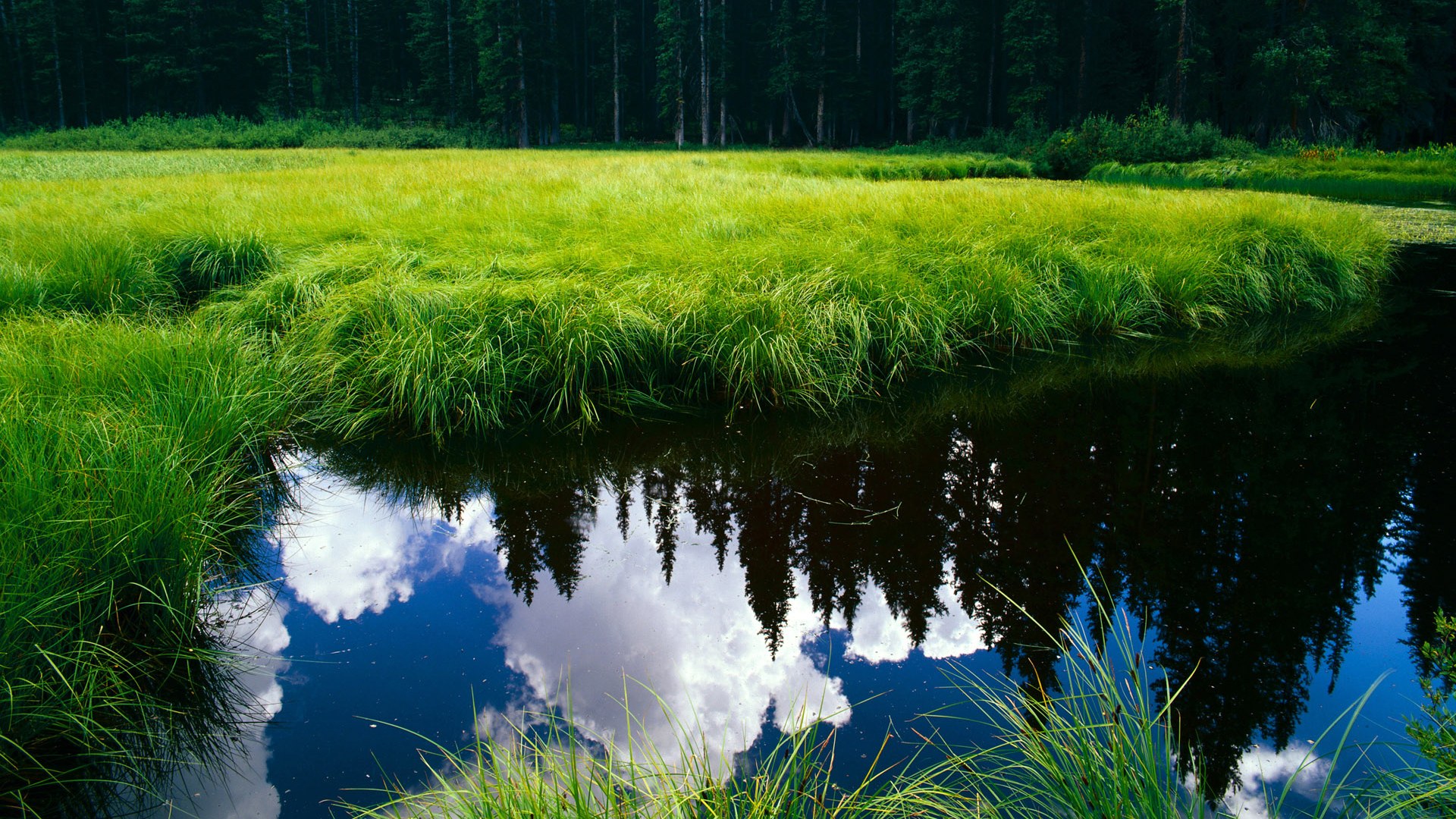 战术变化揭秘:高手们的应变之道,战术应变汉化破解版