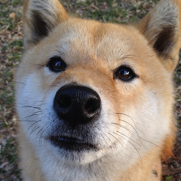 开云官网APP下载-比赛回顾：关键时刻张伟三分稳住局势，逆转走势！，张伟集锦