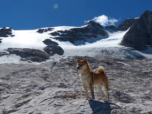 开云平台-特色文化与体育深度融合，推动“篮球+文创”产业高质量发展，打造体育特色
