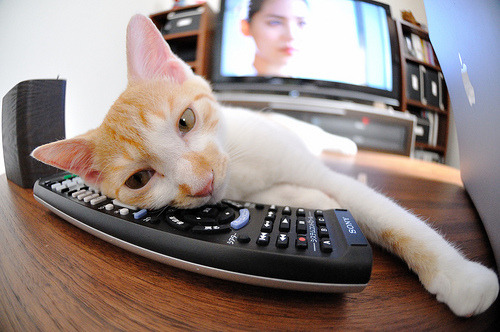 开云网站-电竞比赛中的个人能力：技术精湛，操作娴熟，电竞比赛术语