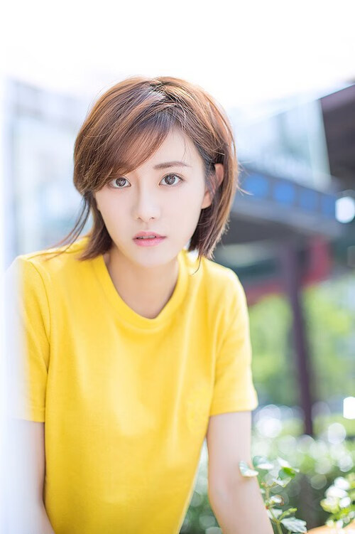 篮球裁判员资格认证体系升级,篮球裁判员资格证书