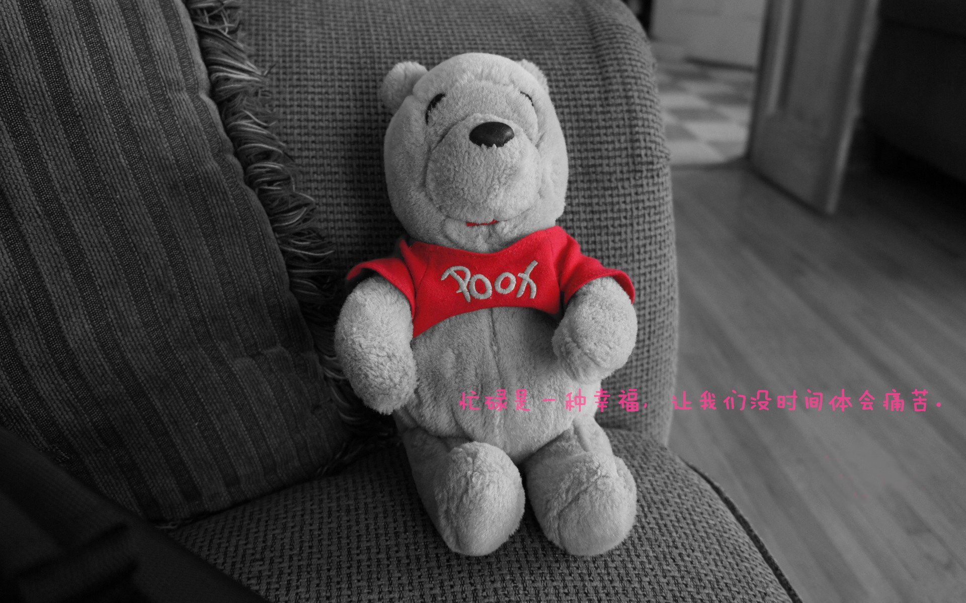 观众互动新体验:现场投票选出最喜爱球员,球星投票