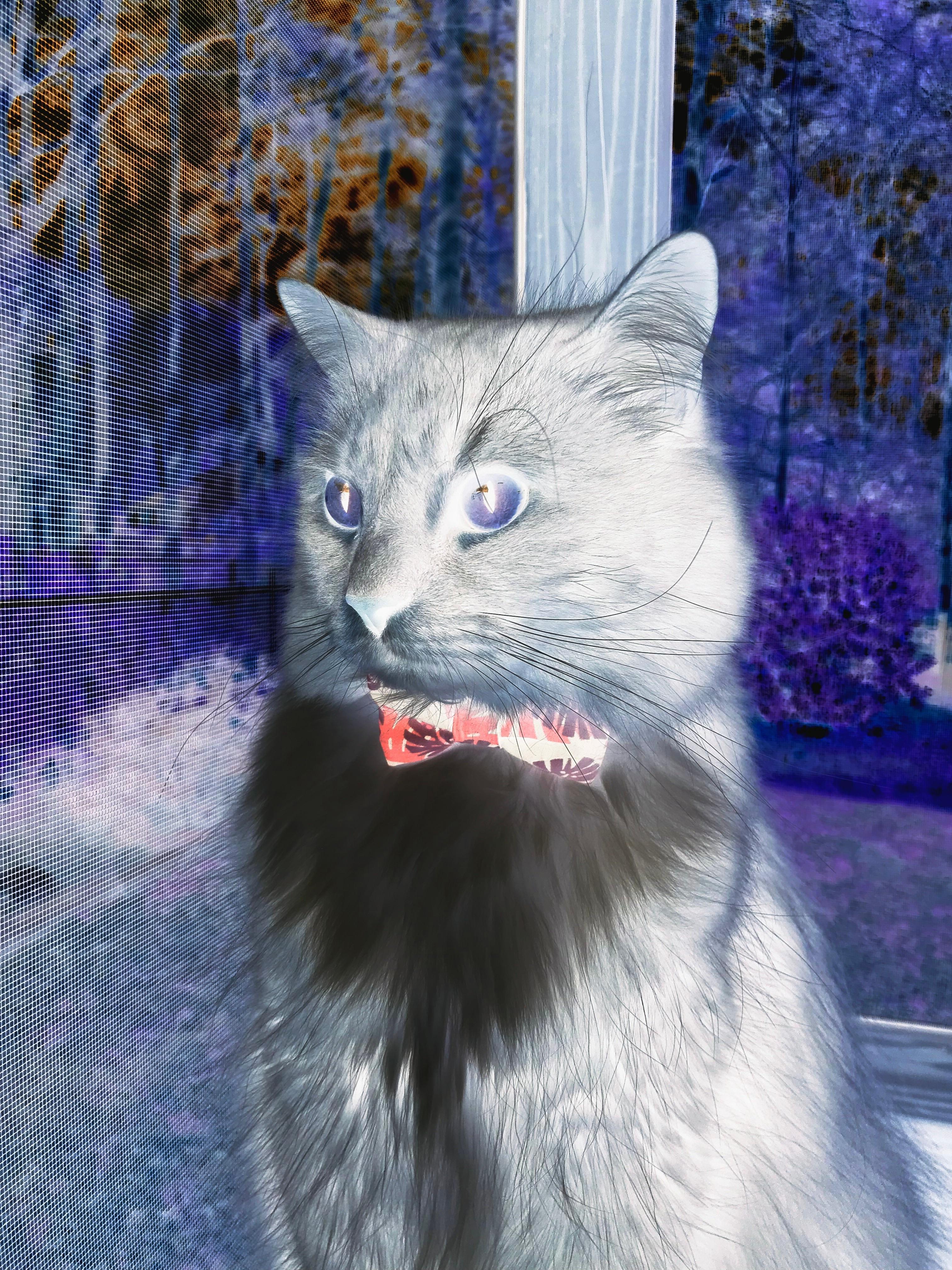 kaiyun体育综合-LCS回顾：经典对决Top 5，经典总决赛