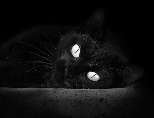 kaiyun.com-激情碰撞！顶尖球队将在比赛中上演对决，顶级球赛