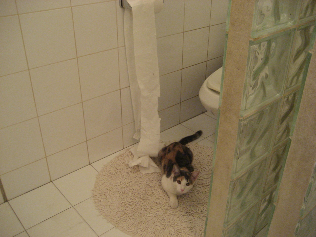 队内核心受伤暂停比赛,球队成绩或受影响,球队核心是几号