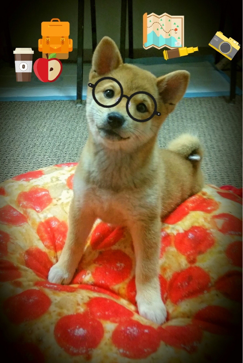 阿尔阿赫利季后赛席位稳固,阿尔阿赫利足球俱乐部