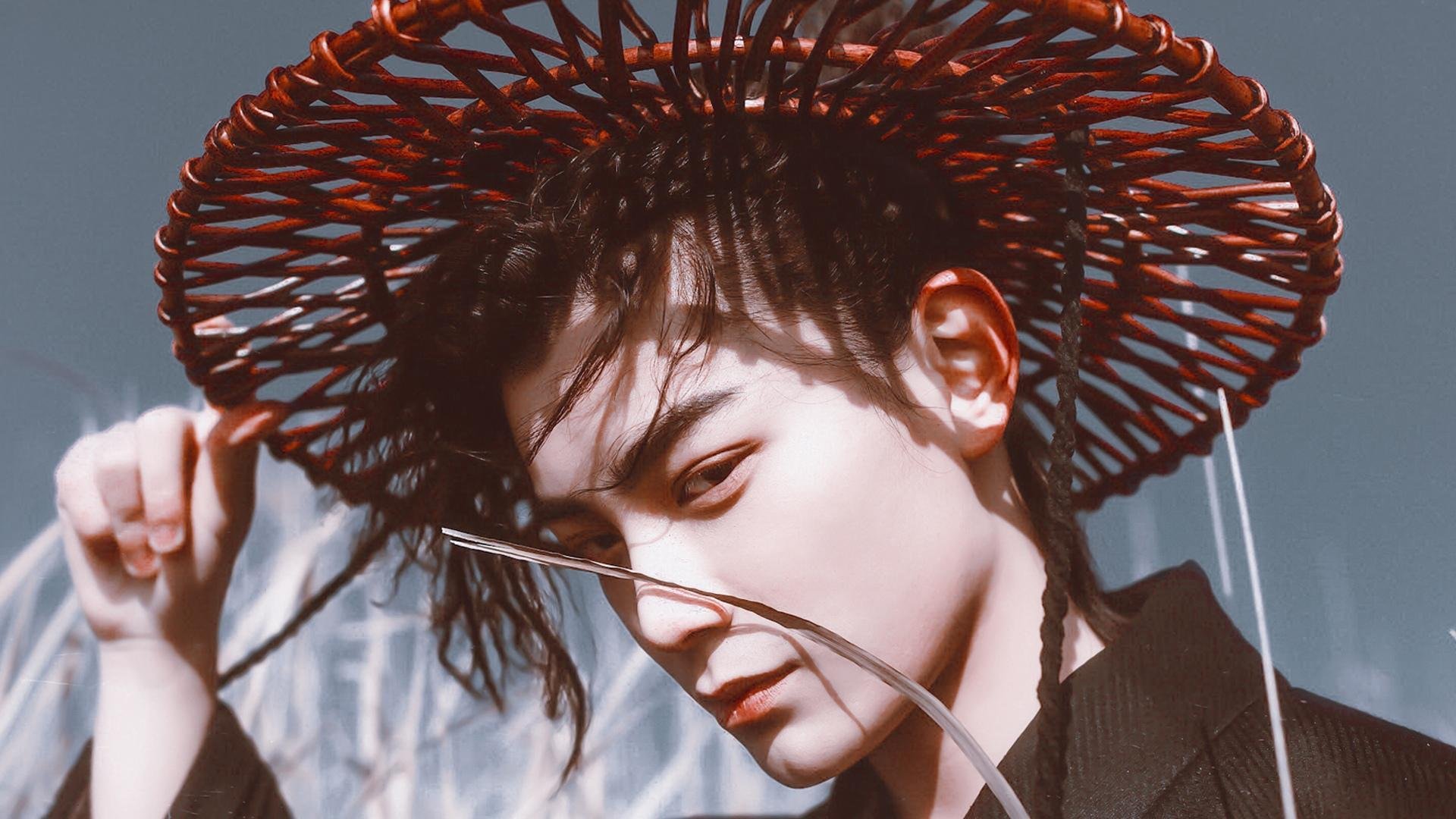 鱼鹰球迷聚集球场助威,为球队加油助力获胜,鱼鹰表演