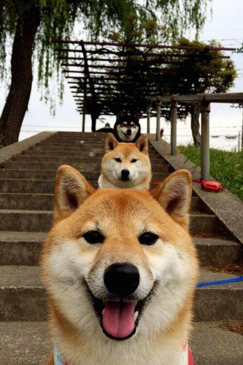 数字化转型:大数据如何影响足球战术决策,大数据ai足球