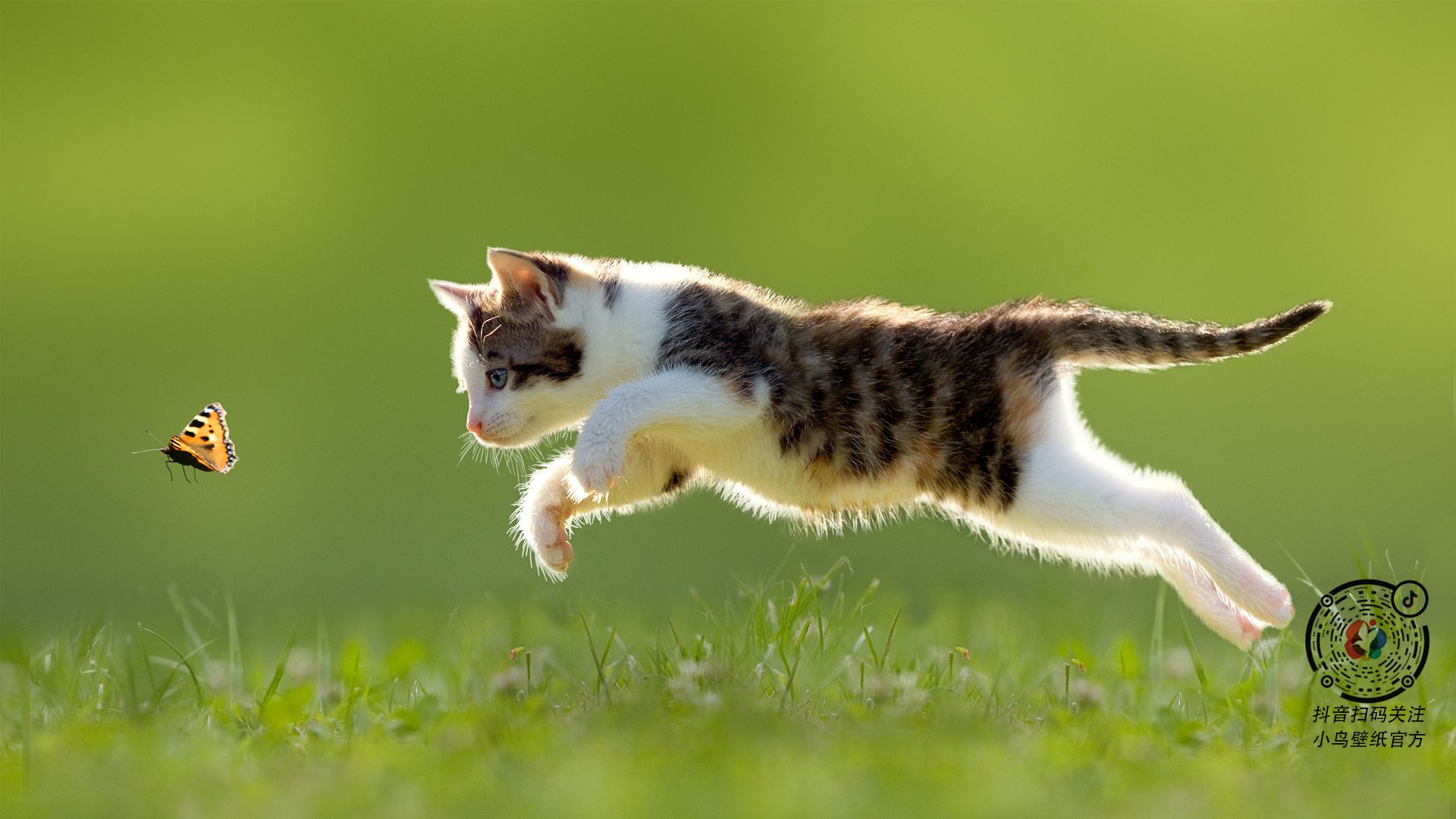 KAIYUNAPP-英超裁判语义分析提升VAR判罚准确性的实践研究，英超裁判主队