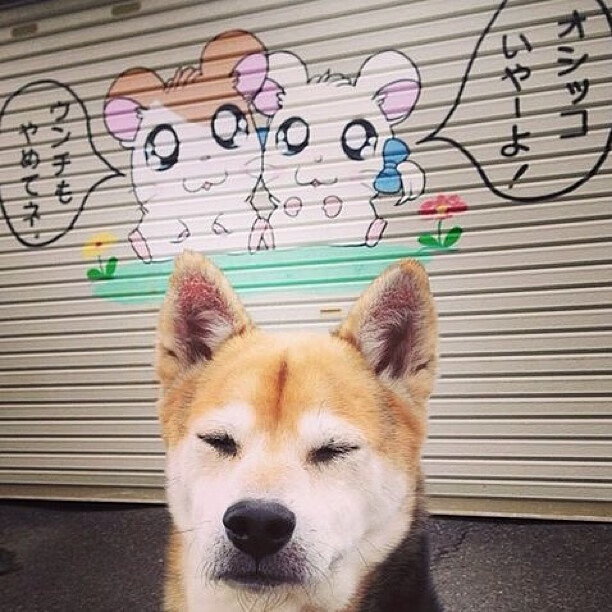 埃及队未来：提升选手的综合素质，争取更高排名，埃及球队实力