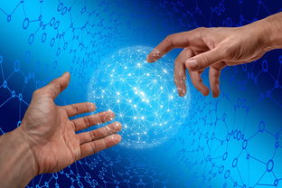 开云入口-德国仰泳项目技术稳定提升，德国仰泳项目技术稳定提升方案