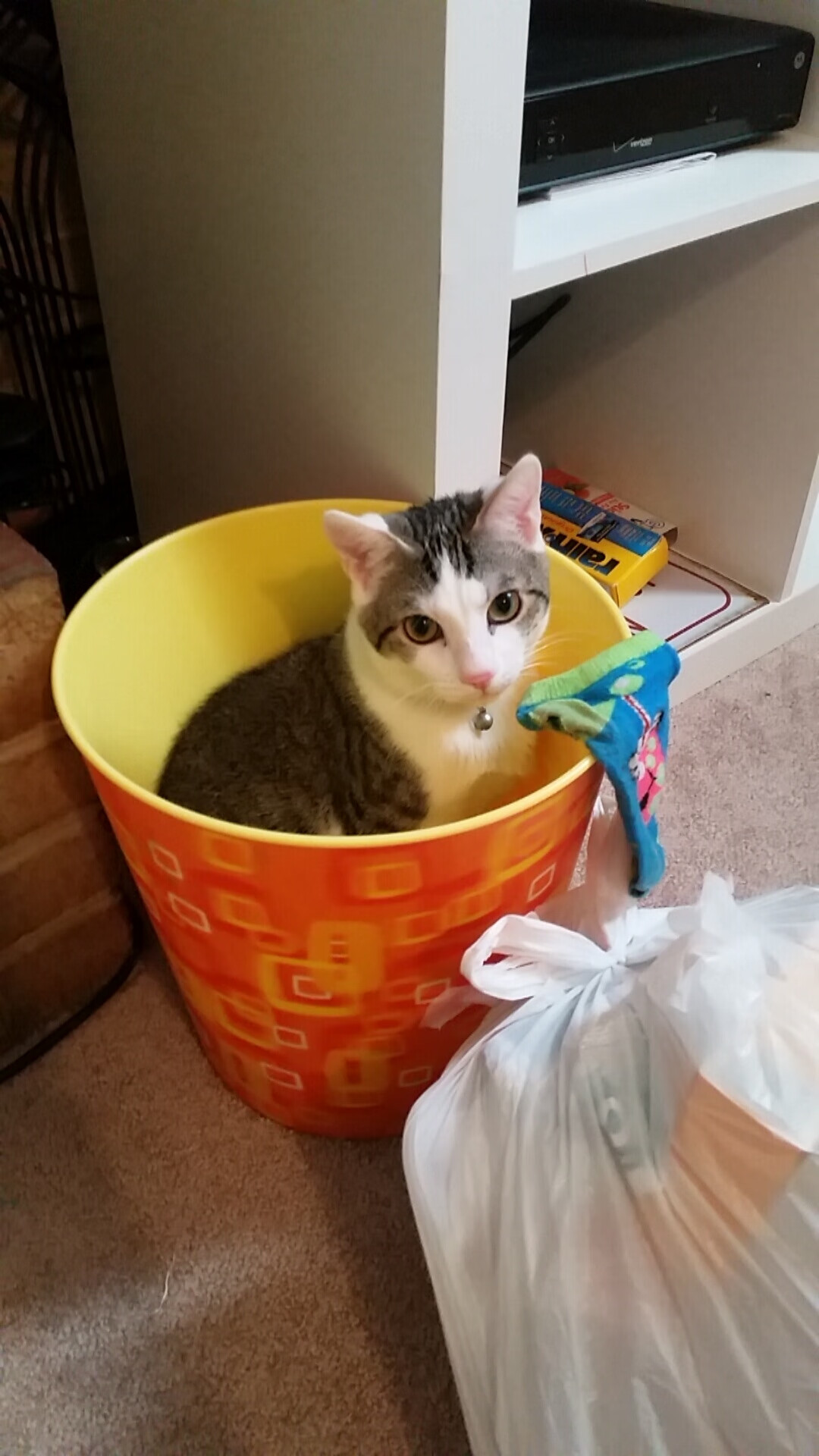 开云官方网站-澳男选手破全国纪录，男子澳网排名