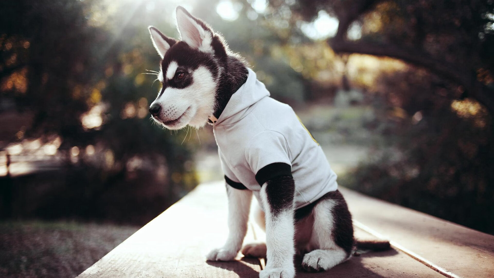 直播技术创新推动赛事发展,网络直播创新