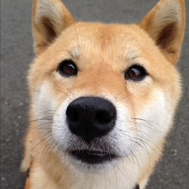 女篮青年队引进跨领域专家加强身体恢复指导,国家青年女子篮球队