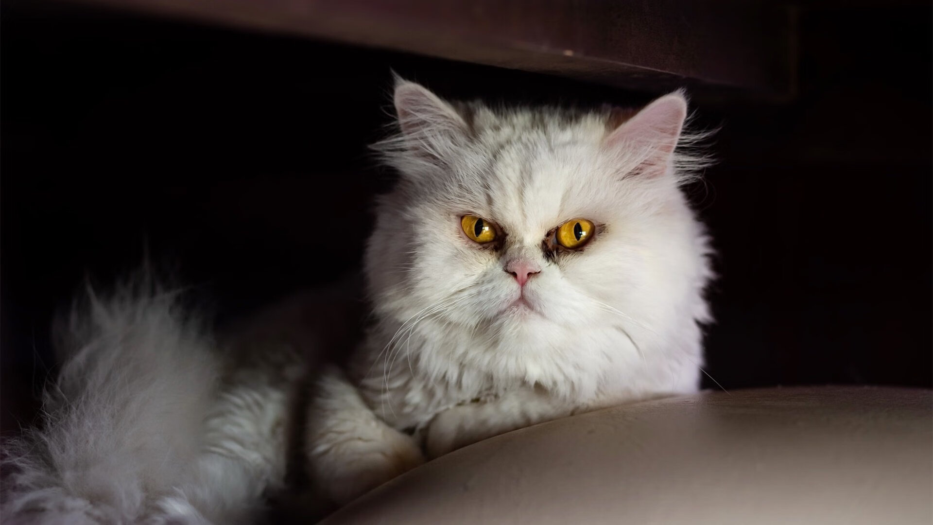 战术演练细节精密提升配合默契最大限度压缩对手空间,战术综合演练解说词