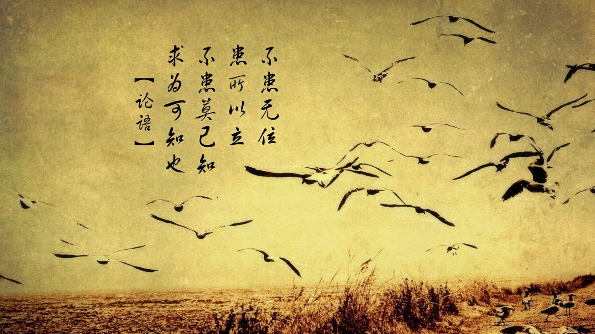 开云官网-爱尔兰橄榄球赛事收视率创新高，爱尔兰橄榄球队