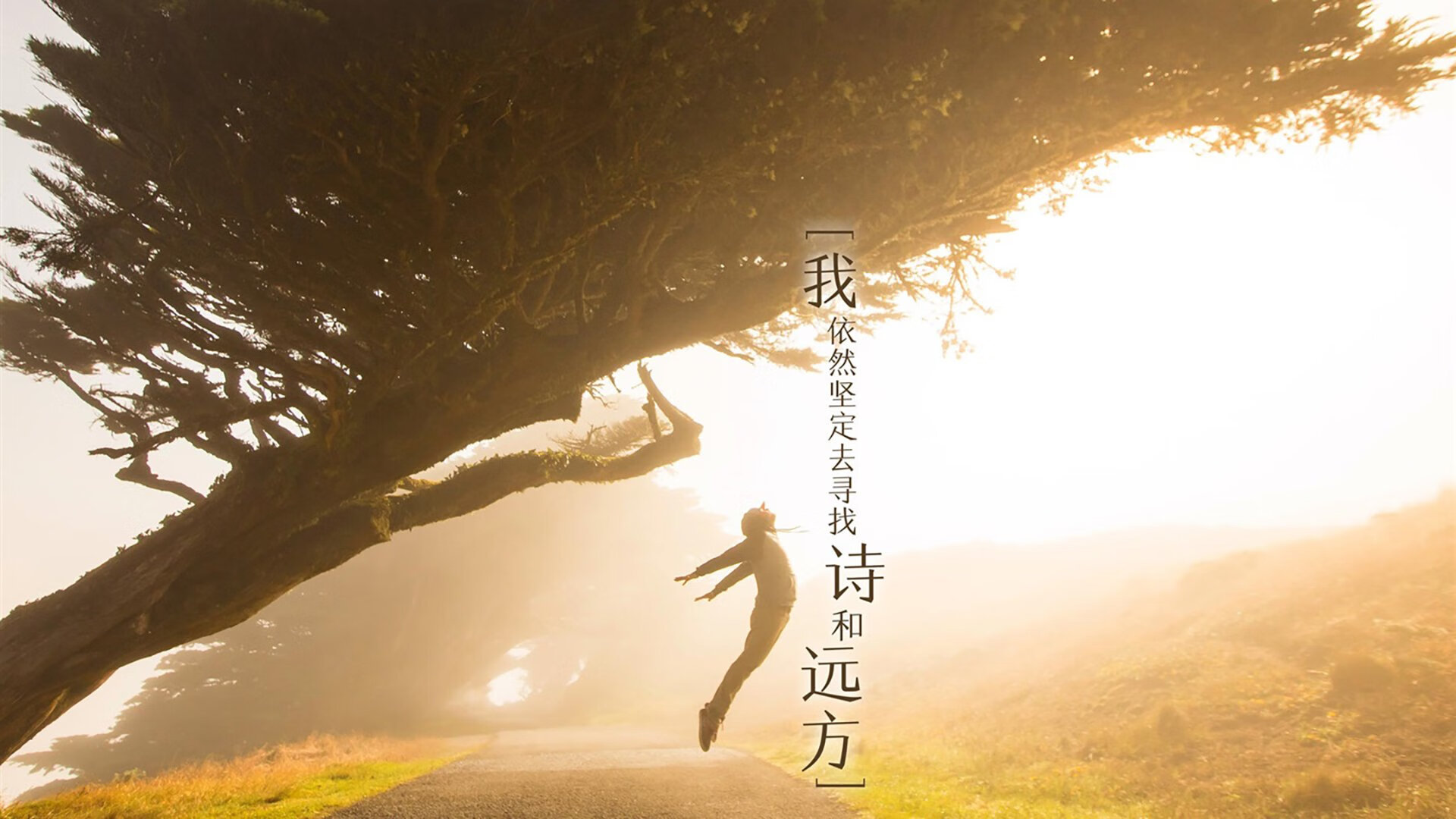 开云体育APP下载-西甲场上奇迹：强攻与坚守的完美平衡，vll西甲