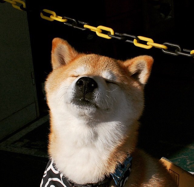 队员配合默契明显提升快速反击成为主要得分手段之一,队员之间的配合