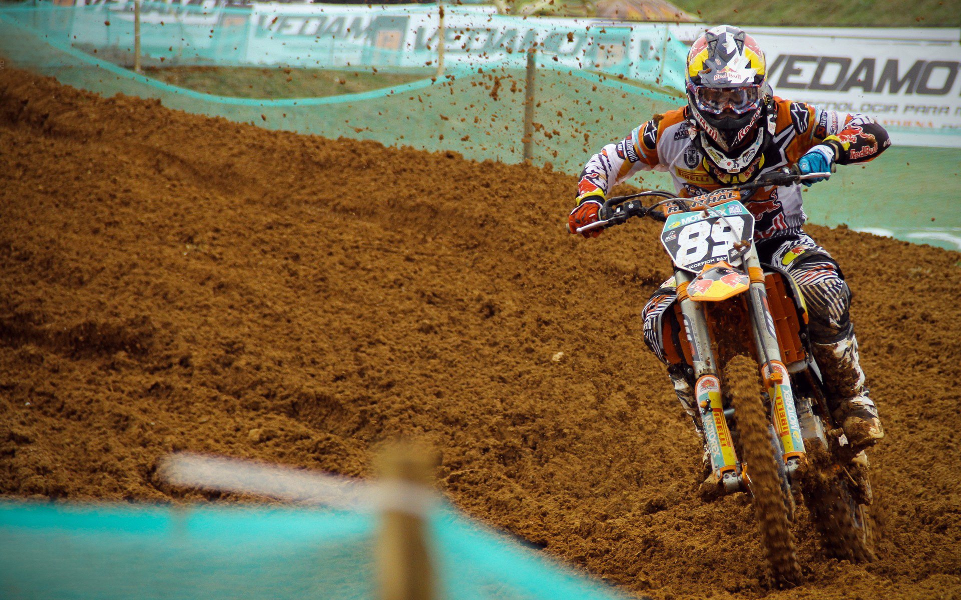 粉丝打卡：全球车迷的幸福瞬间，车迷是哪个球队粉丝