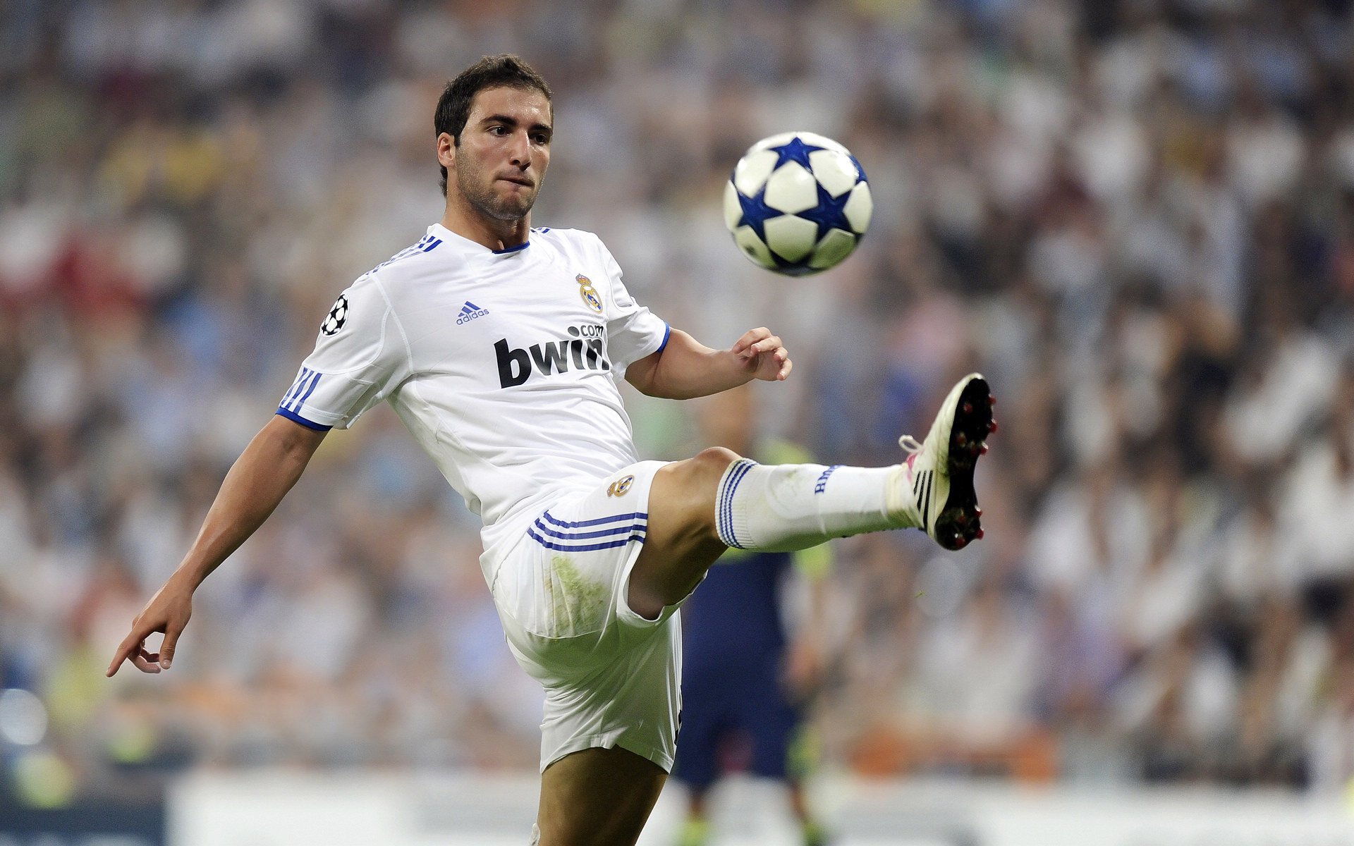 绿色行动：联盟环保公益持续推进，绿色篮球走得更远，绿色行动的环保标语有哪些